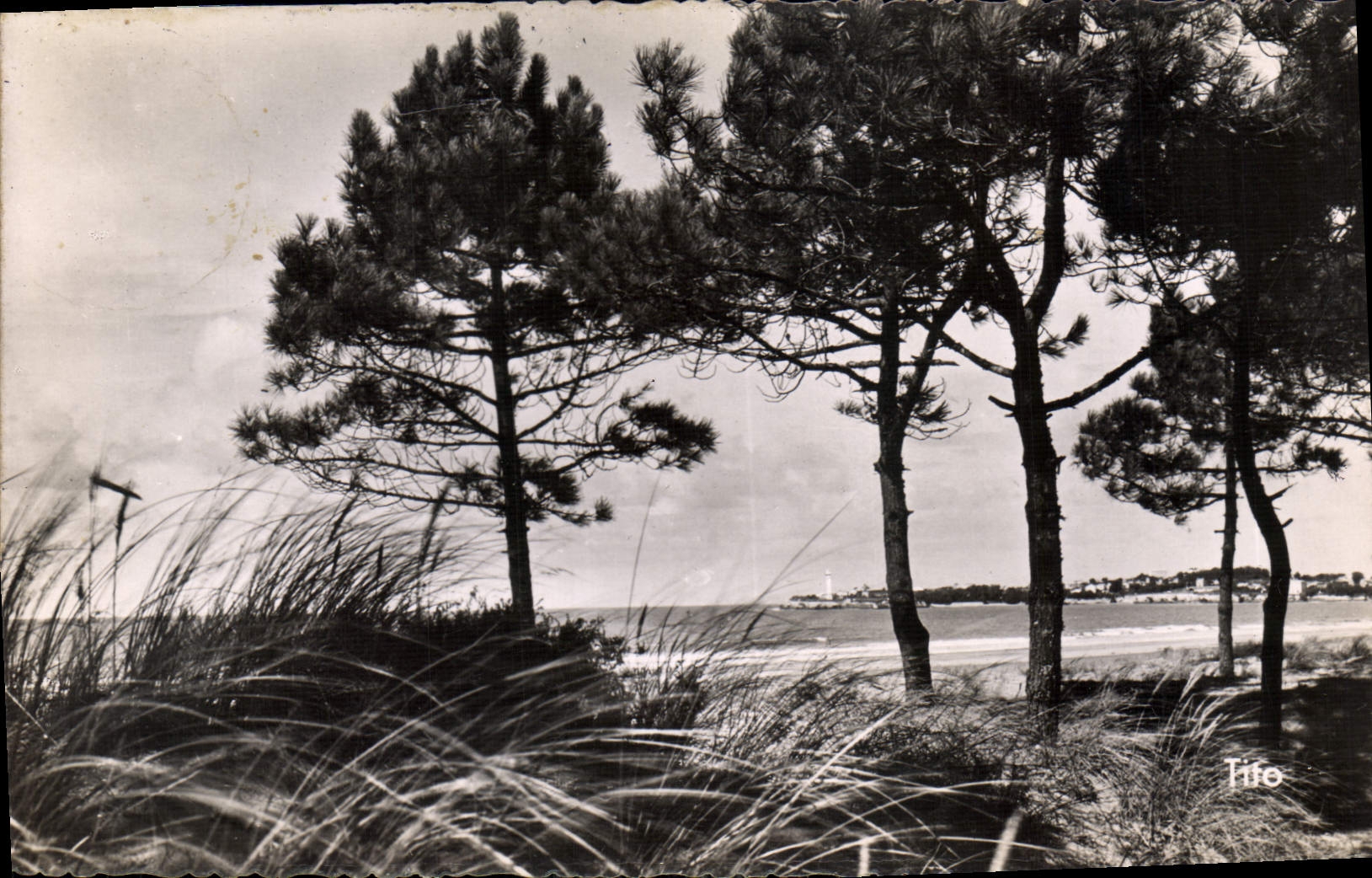 CPA Saint Georges de Didonne L'ins rivant la plage 