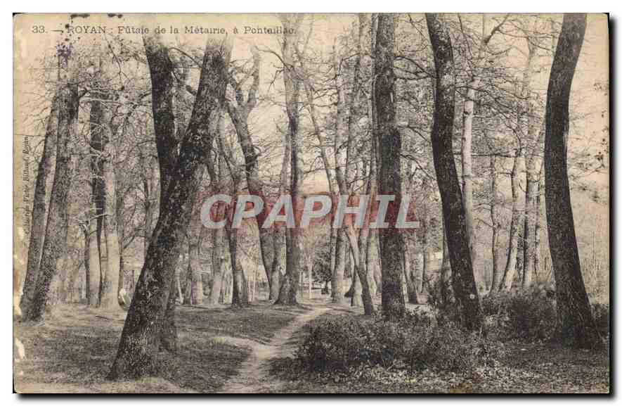 CPA Royan Futaie de la Metairie a Pontaillac 