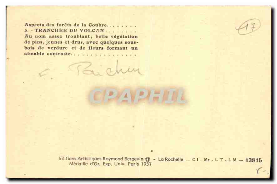 CPA Aspects des forets de la Coubre Tranchee du Volcan  — Back