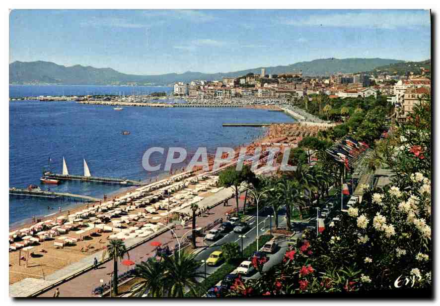 CPM Cannes AM Le Suquet vu de la Croisette 
