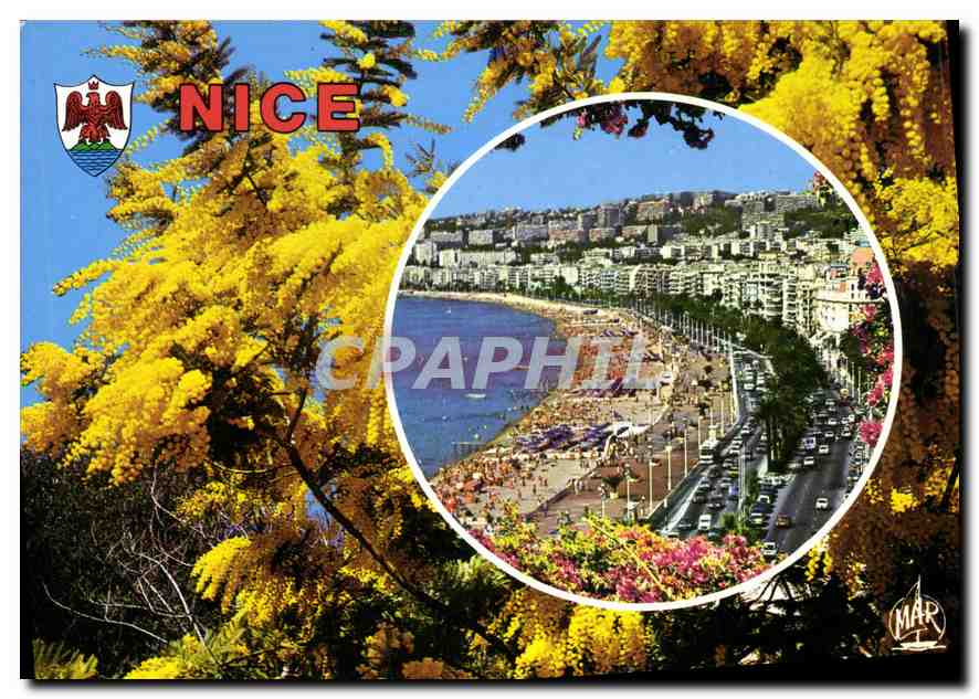 CPM Nice La Promenade des Anglais 