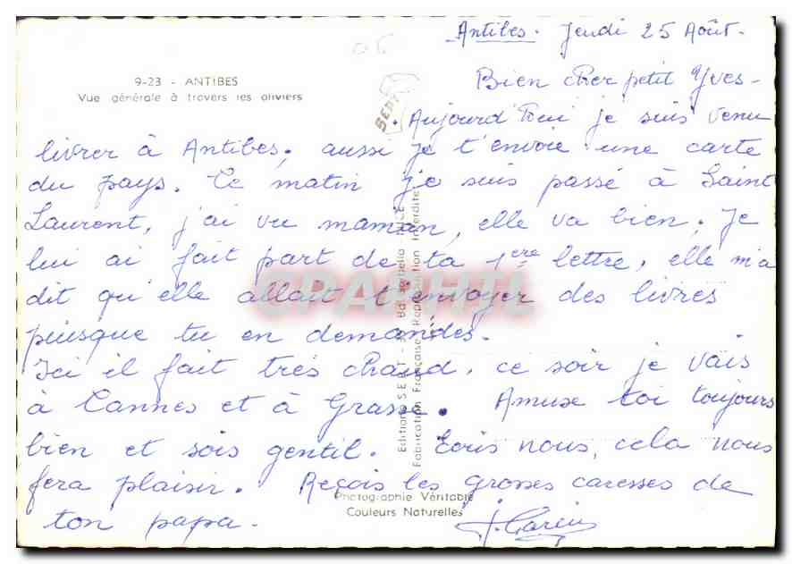 CPM Antibes Vue generale a travers les oliviers  — Rückseite