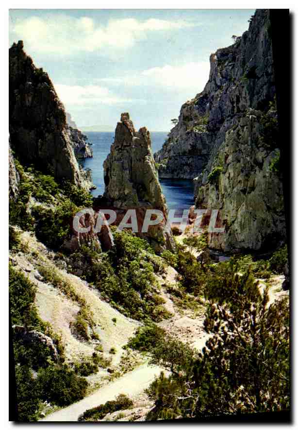 CPM Une rose a la Boutonniere de la Provence Cassis sur Mer Calanque d'En Vau 