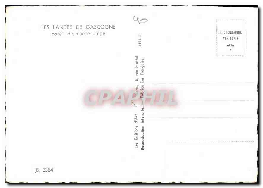 CPM Les Landes de Gascogne Foret de Chnes Liege  — Rückseite
