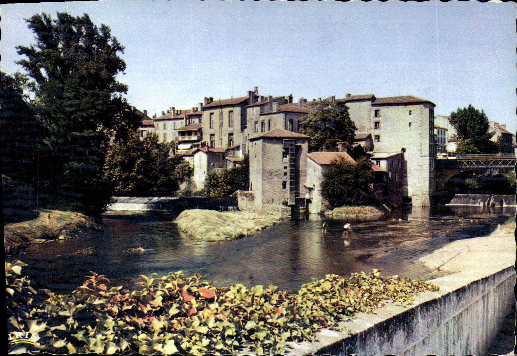 CPM Mont de Marsan Landes Confluent de la Douze et du Midou Formant la Midouze 
