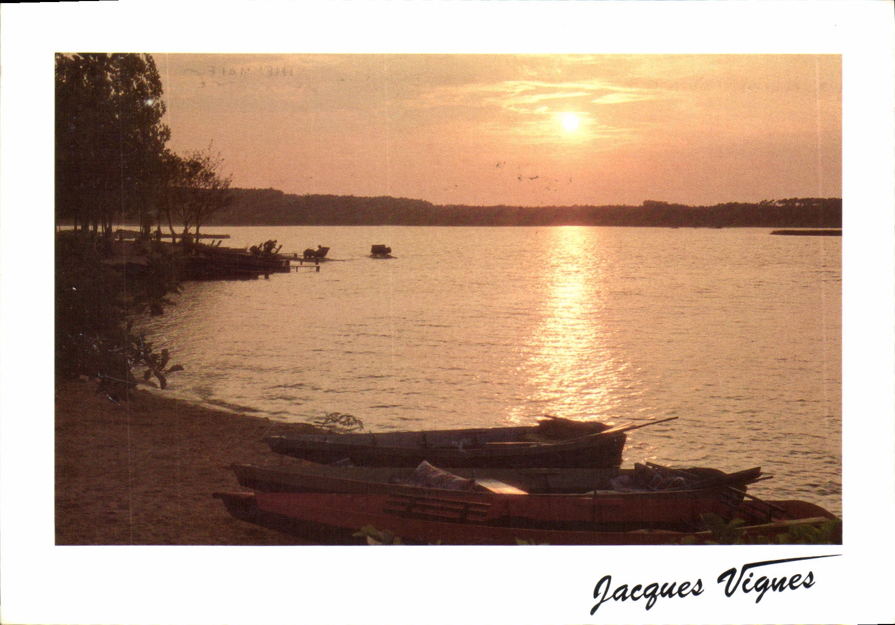 CPM Visage des Landes Soleil Couchant sur un etang Landais 