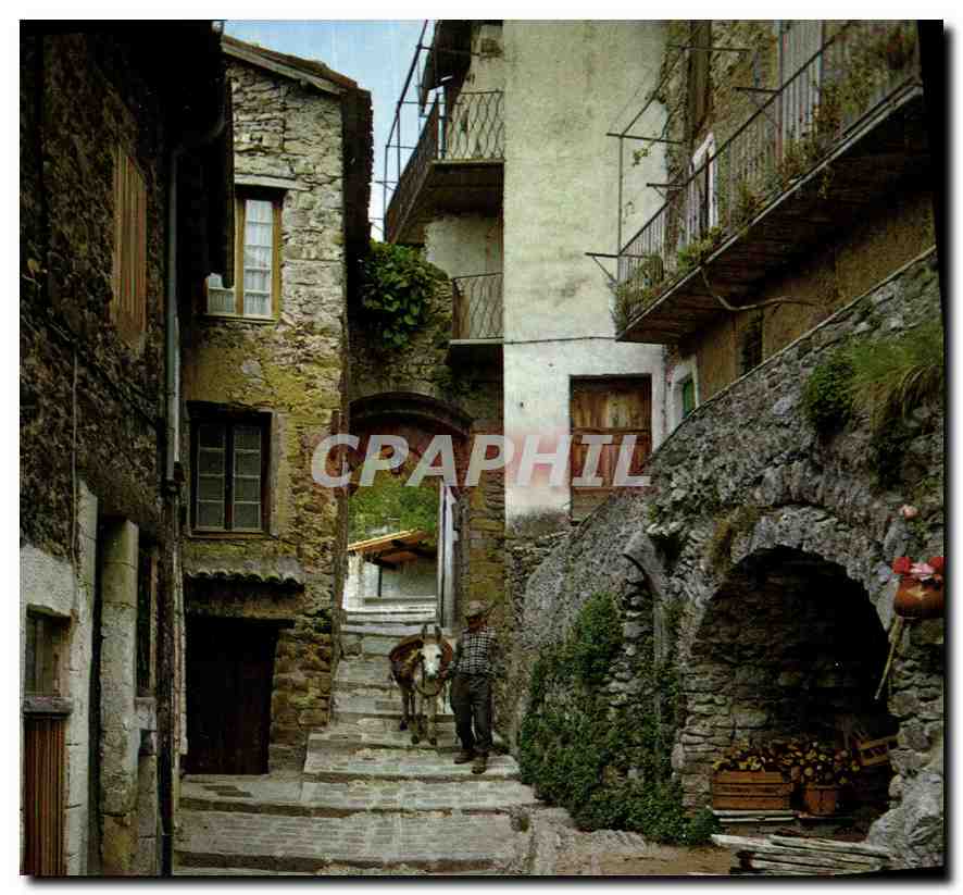 CPM Luceram A M Vieille rue Pittoresque 