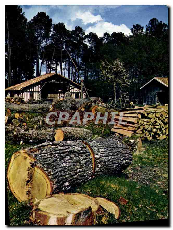 Pays Landais — Vieille ferme en bordure de la forêt — CPAPHIL n°400015