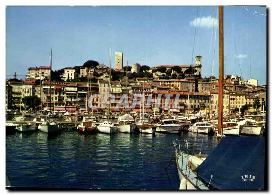 CPM Reflets de la Cote d'Azur Cannes A Mmes le Port a l'arriere plan le Suquet 