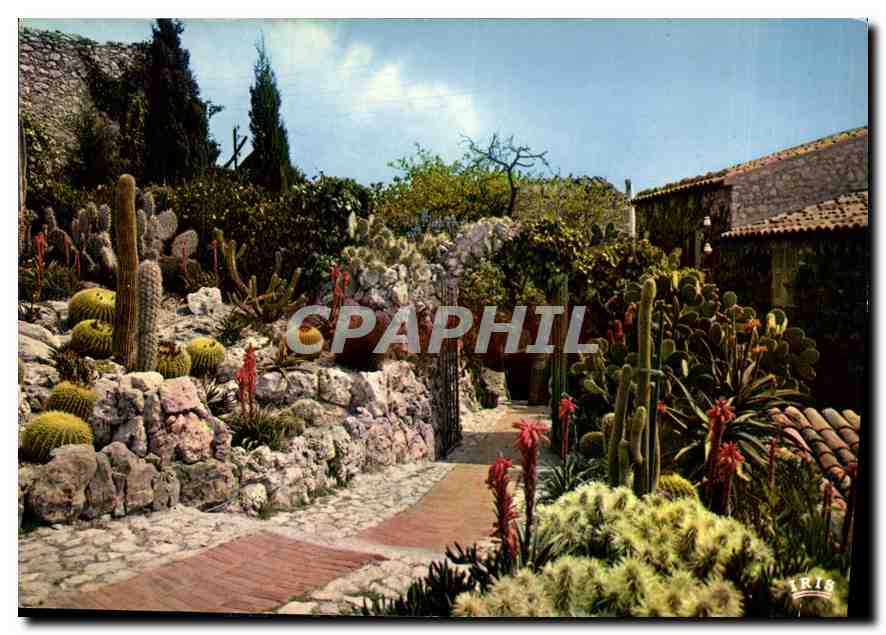 CPM La Cote d'Azur French Riviera Eze Village le Jardin Exotique 