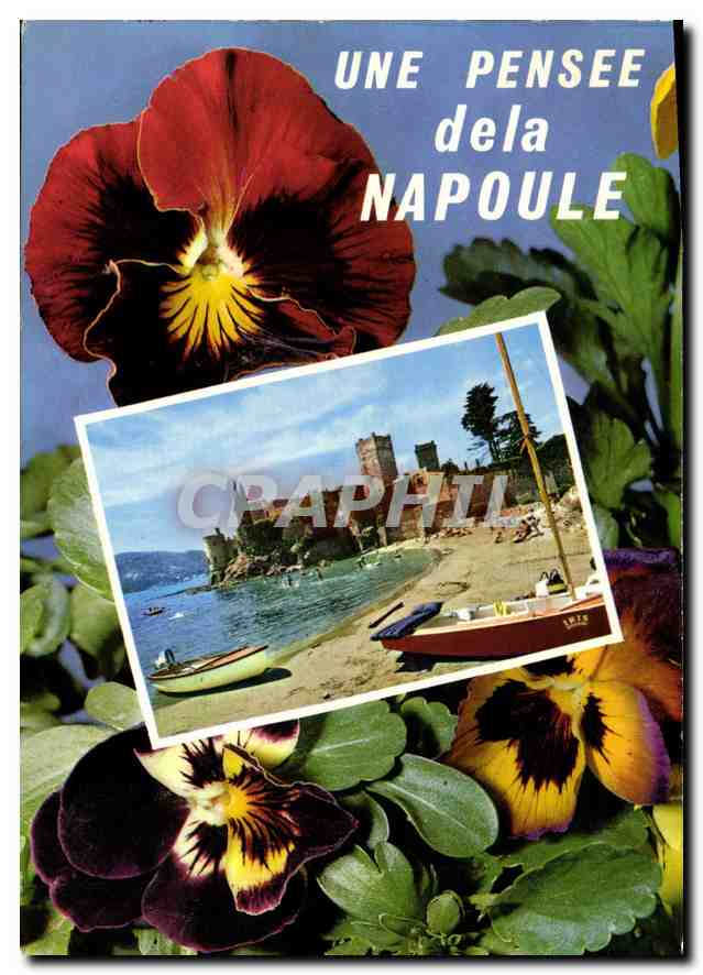 CPM La Cote d'Azur la Napoule Plage le Chateau 