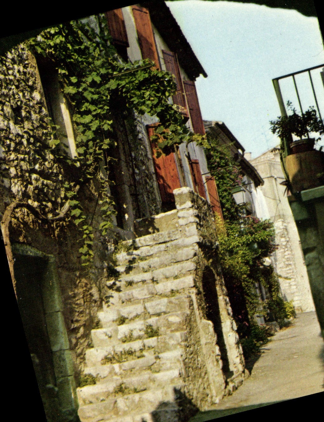 CPM La Cote d'Azur la colle sur Loup Vieille rue 