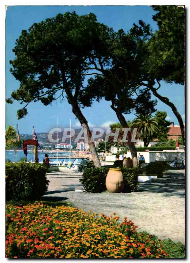 Place des Pins — Nice — Éditions S.E.P.T. - Imprimé en Italie