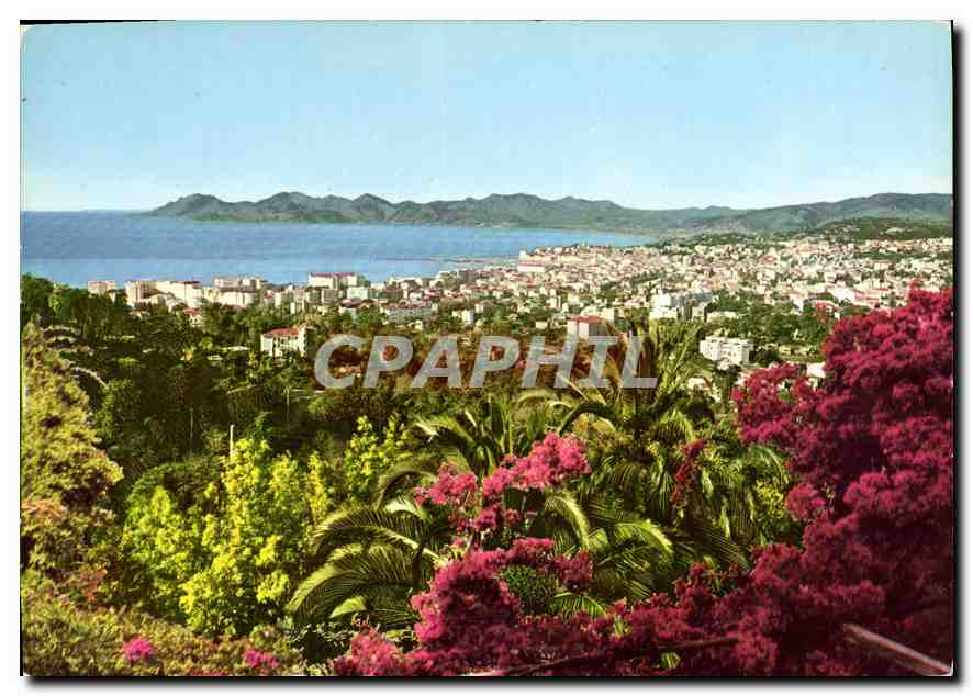 Cannes — Vue Générale prise de Super-Cannes parmi les fleurs — Italgiraph Geneva
