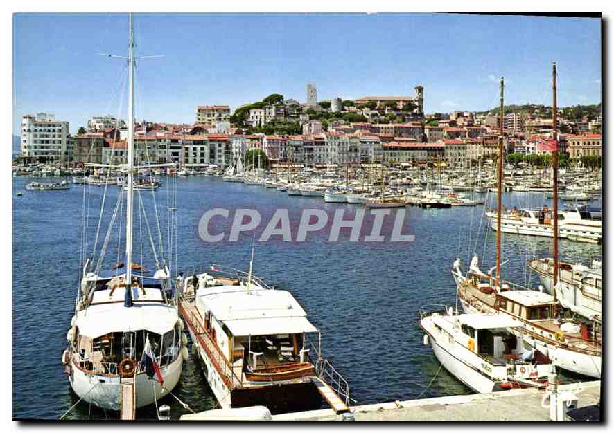 CPM La Cote d'Azur Cannes A M le Port et le Suquet 