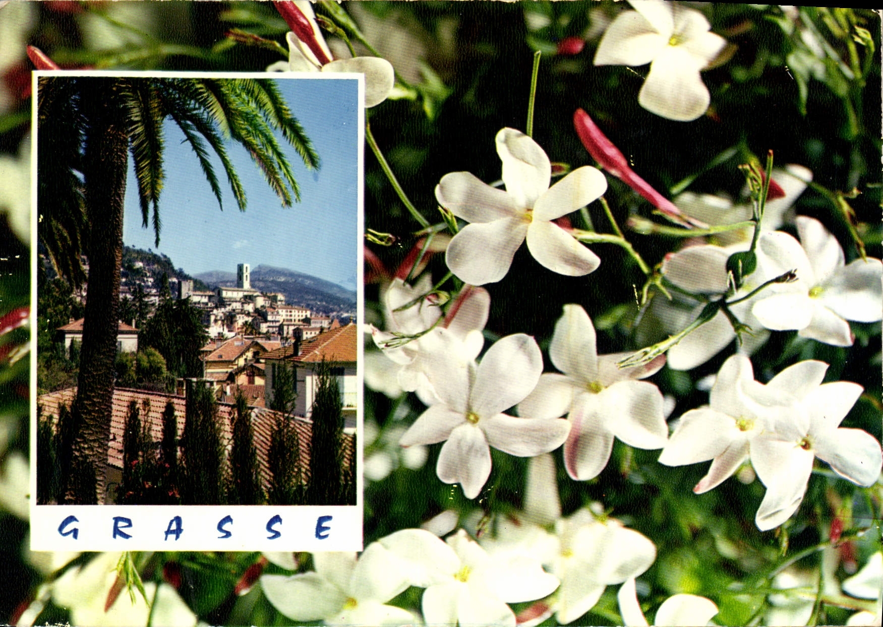 Grasse — Stadt der Blumen und Parfums — Éditions CAP, NICE