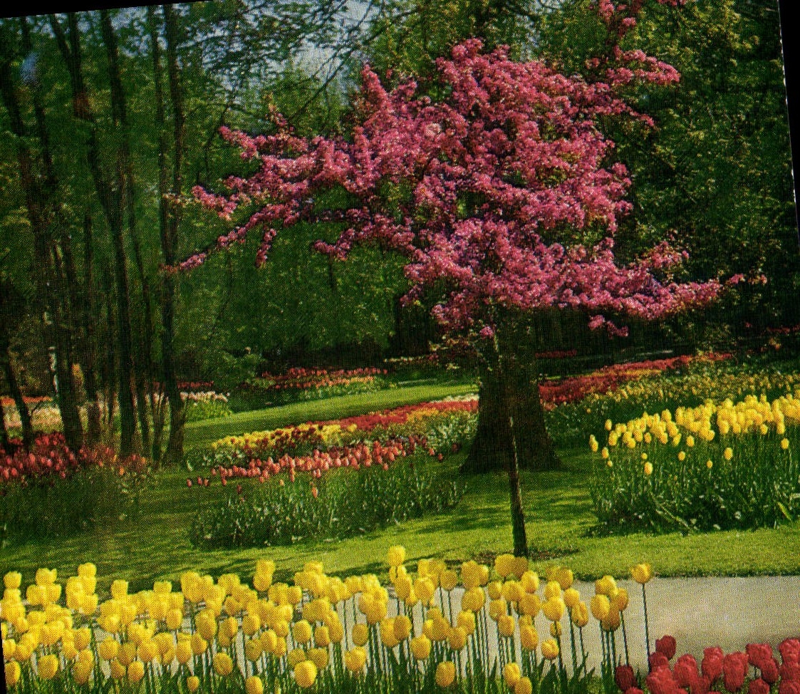 CPM Keukenhof Lisse Holland 