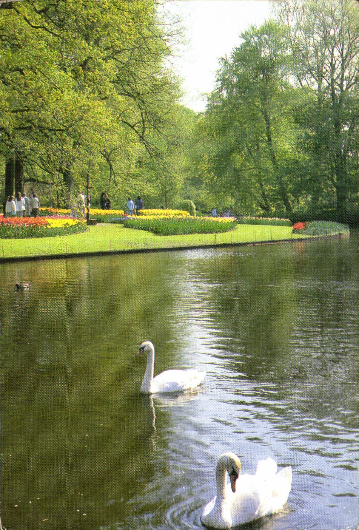 CPM Keukenhof Lisse Holland 