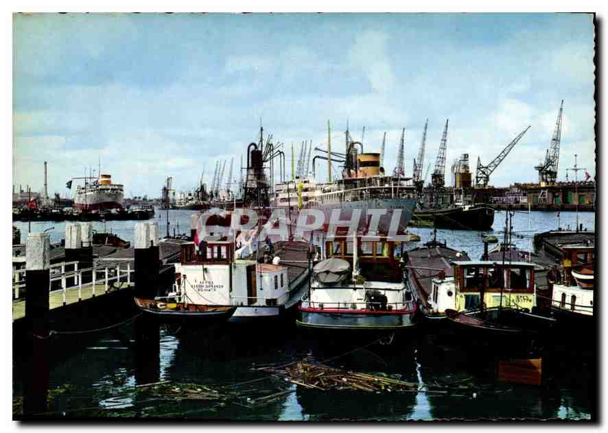 CPM Rotterdam vue sur le port Bateaux