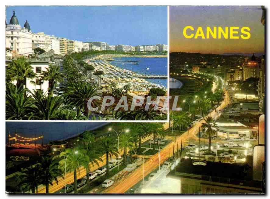 CPM La Cote d'Azur Cannes Cannes la nuit 