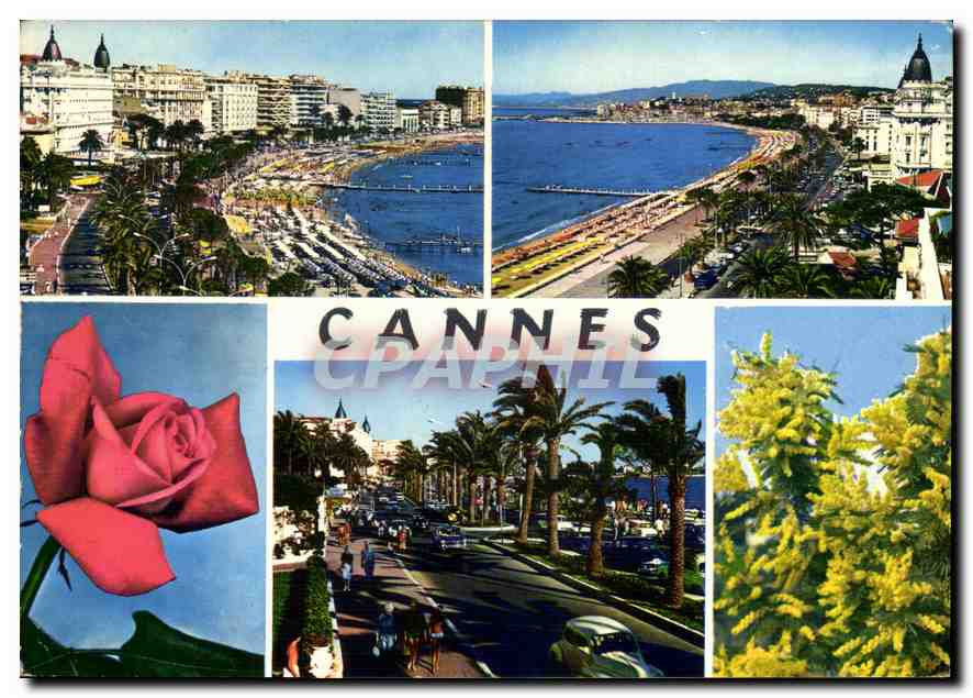 Cannes — vue panoramique et fleurs — CPAPHIL