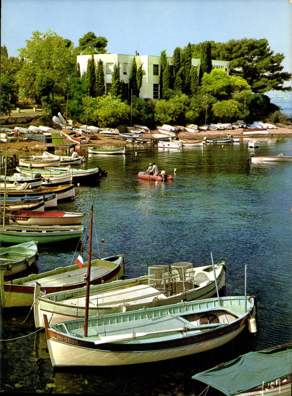 CPM Couleurs et lumiere de France La Cote d'Azur Cap d'Antibes Alpes Maritimes le Port de l'Olivette