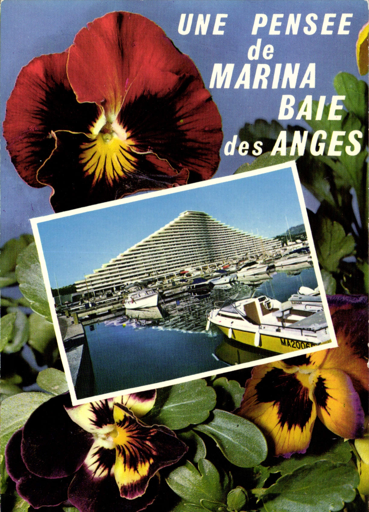 Marina Baie des Anges — Une pensée de Marina Baie des Anges — Éditeur Marina Baie des Anges