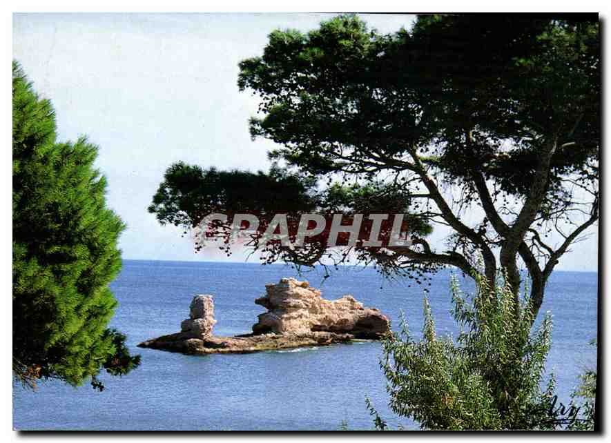 CPM La Cote Bleue Paysage Mediterraneen 