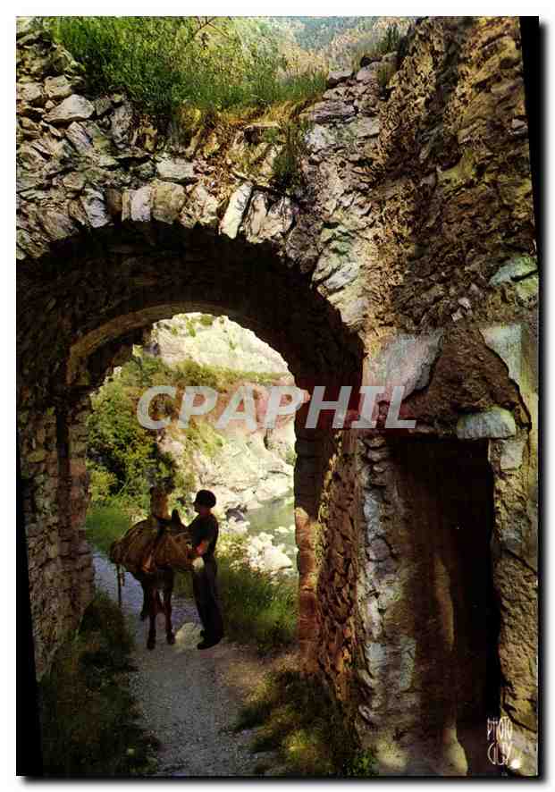 Paysages de France - Provence — Scène typique de l'arrière-pays — Editions Photoguy, Nice