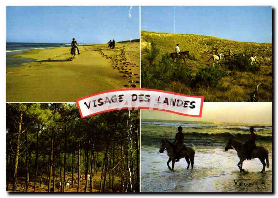 CPM Visage des Landes Promenades a cheval en foret dans les dunes et en borduce de l'Ocean avec le C