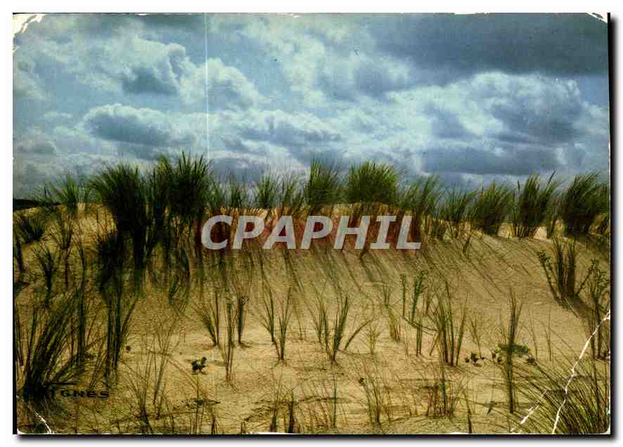 CPM Visage des Landes Effets de nuages sur la dune du littora 