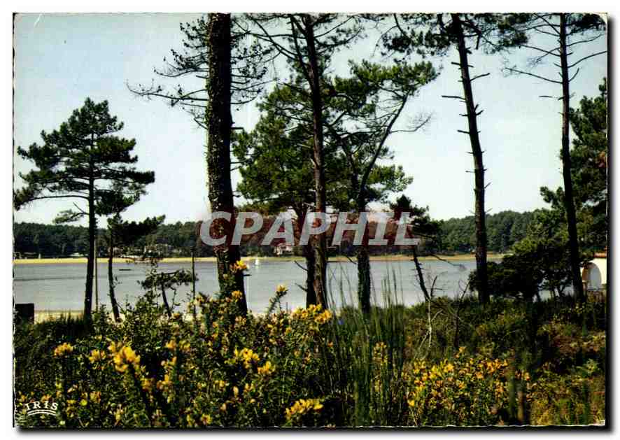 CPM Lac au pays landais 