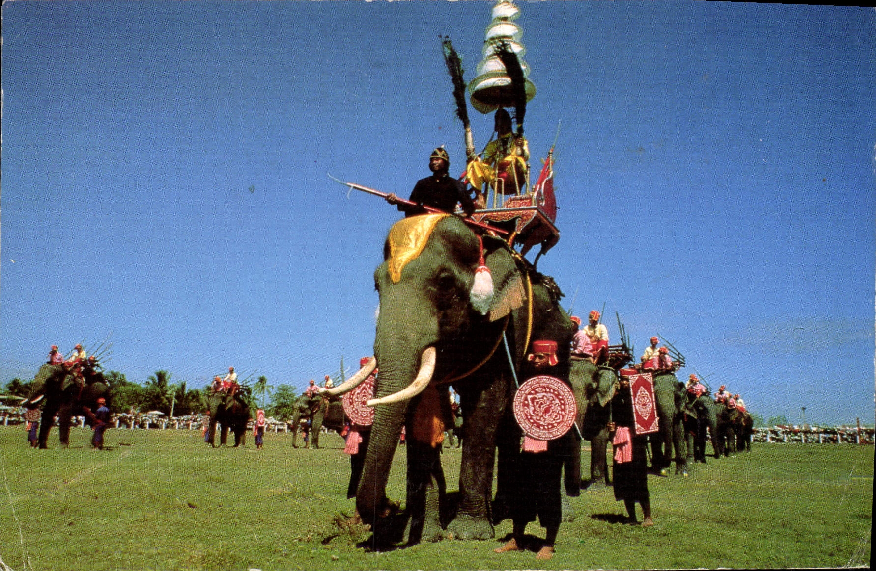 CPM The former glory of colourfully arrayes elephants goid into battle is reenacted during the annua