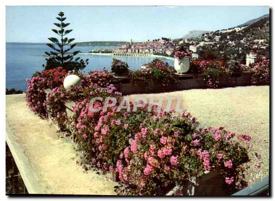 CPM Couleurs et lumiere de France la Cote d'Azur miracle de la nature Menton Alpes MAritimes 