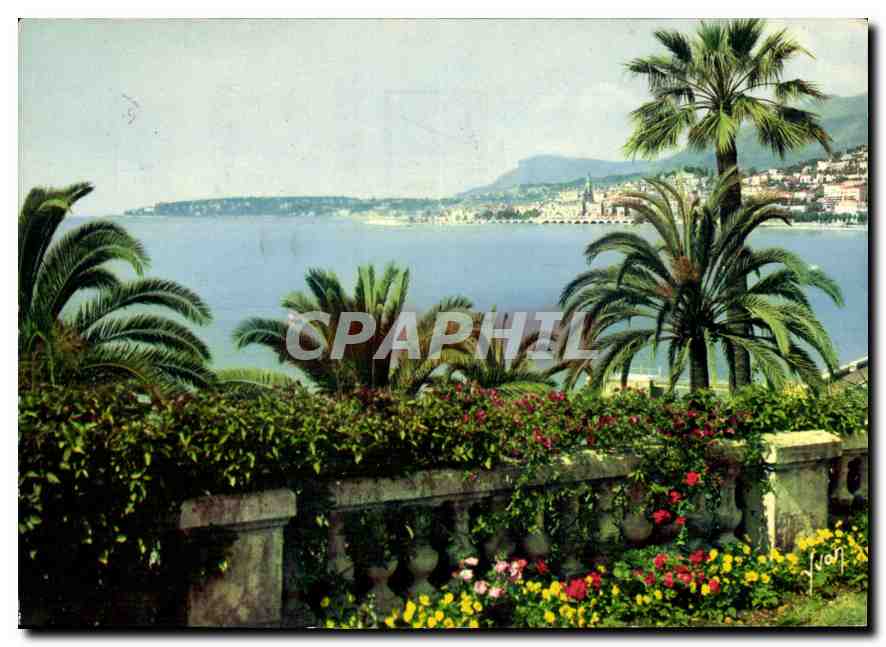 CPM Couleurs et lumiere de France la Cote d'Azur miracle de la nature Menton Alpes Maritimes les jar