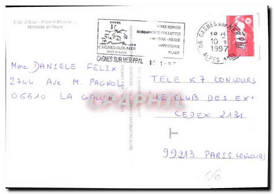 CPM Cote d'Azur French Riviera Mimosas en fleurs  — Rückseite