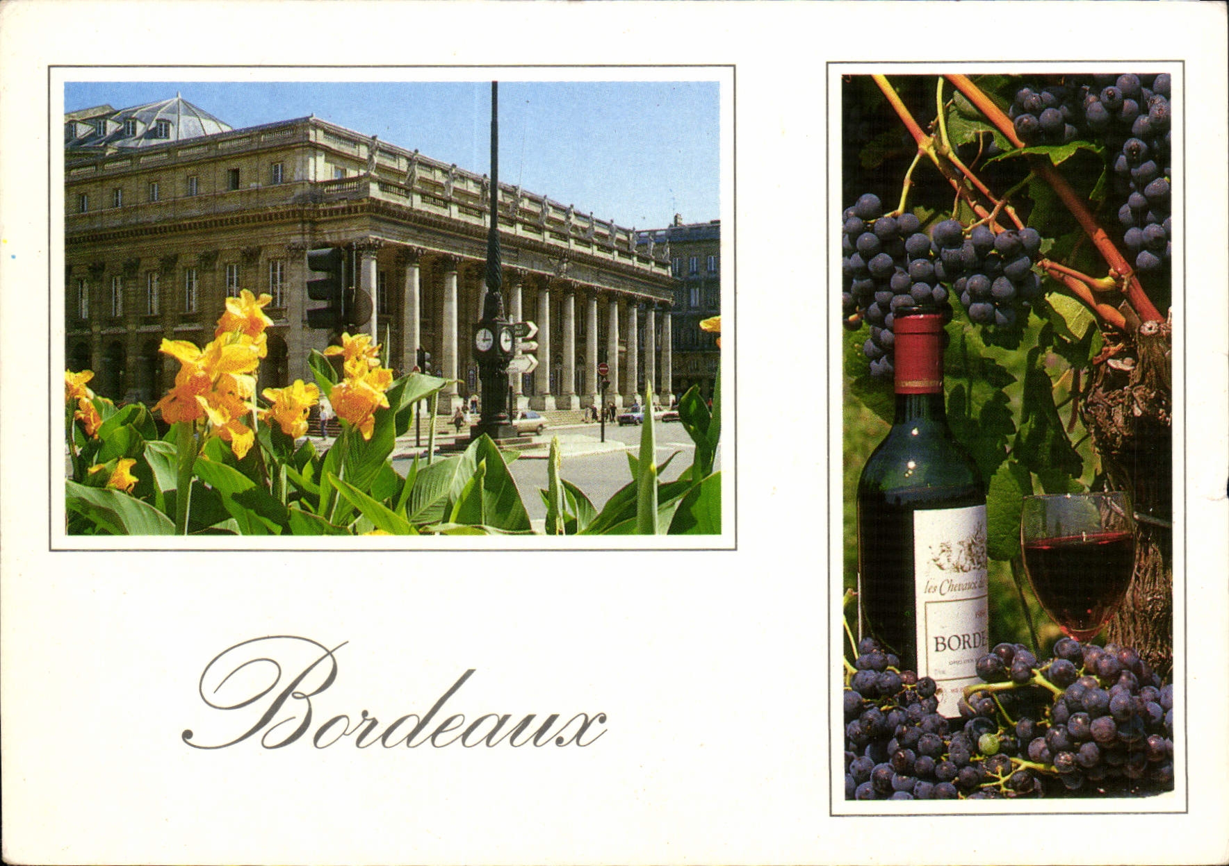Bordeaux — vue du Grand Théâtre et vignes — Harmonie