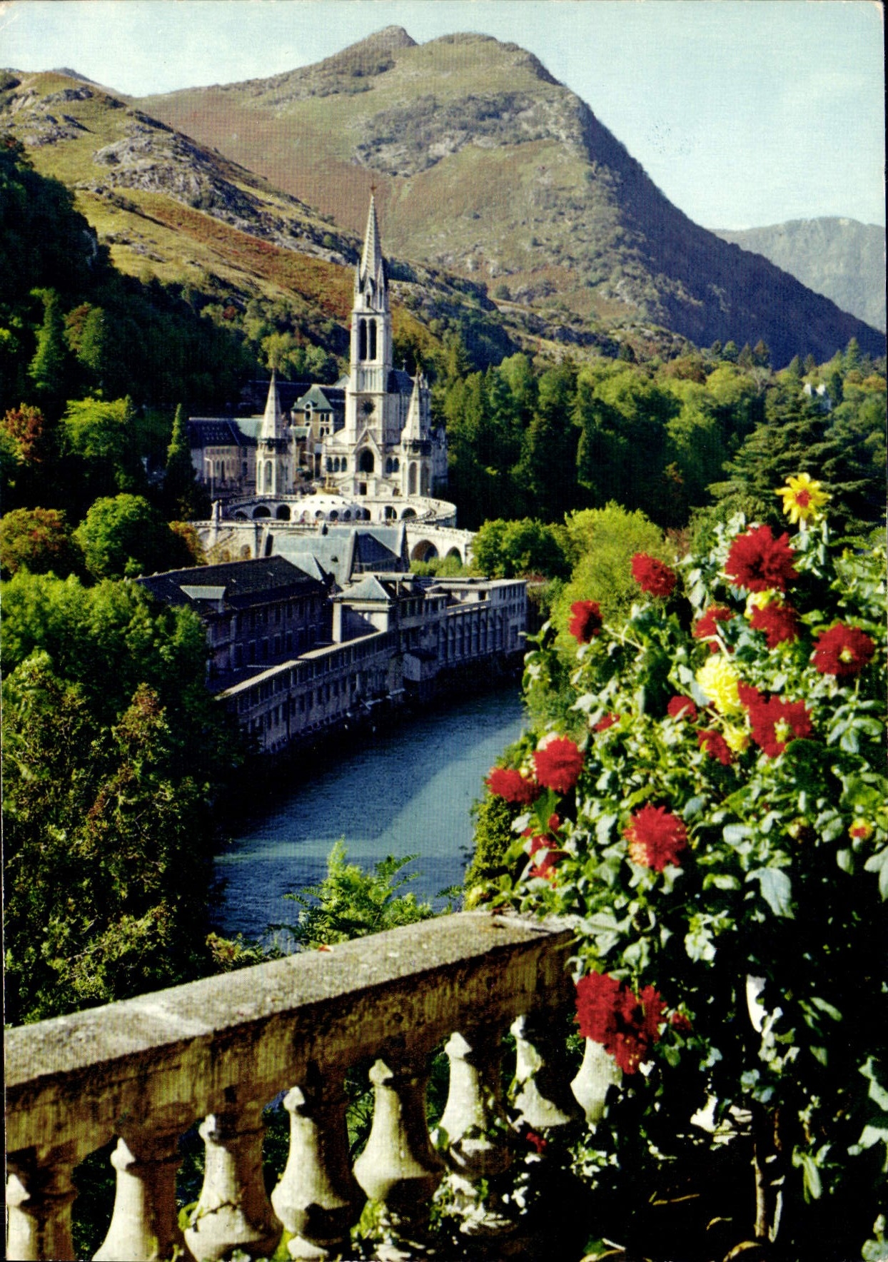 CPM Lourdes La Basilique et le Gave 