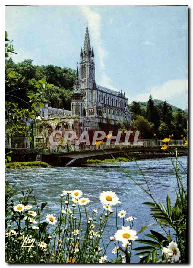 CPM Nos Belles Pyrenees Lourdes La Basilique et le Gave de Pau 