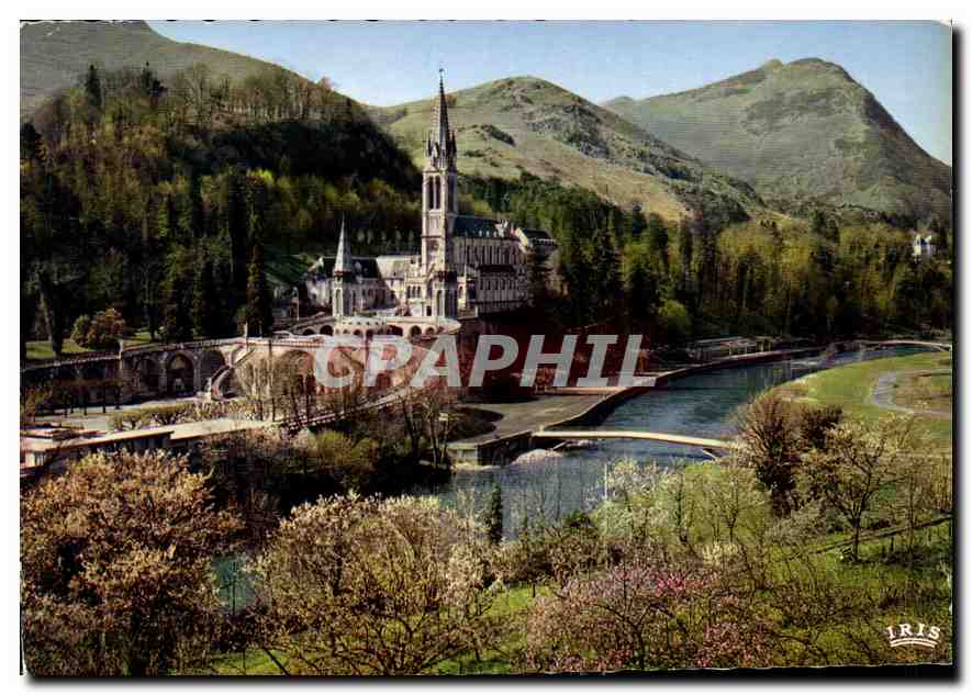 CPM Lourdes La Basilique le Gave et les nouveaux Ponts 