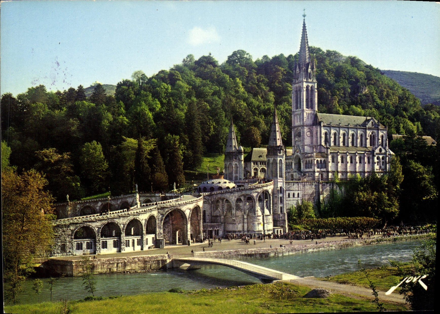 CPM Lourdes La Basilique la Grotte et le Gave 