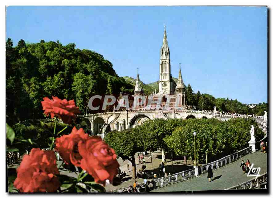 CPM Nos Belles Pyrenees Lourdes La Basilique 