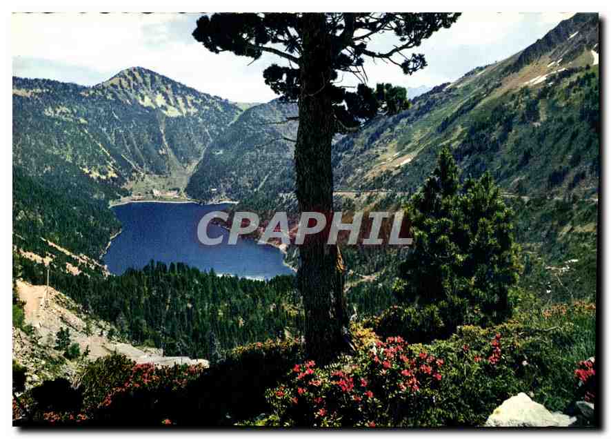 CPM Vallee d'Aure le Lac d'Oredon et le Mont Pelot vus de Cap de Long 