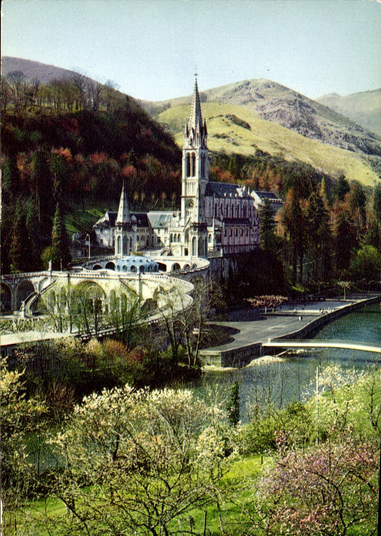 CPM Lourdes La Basilique et le Gave 