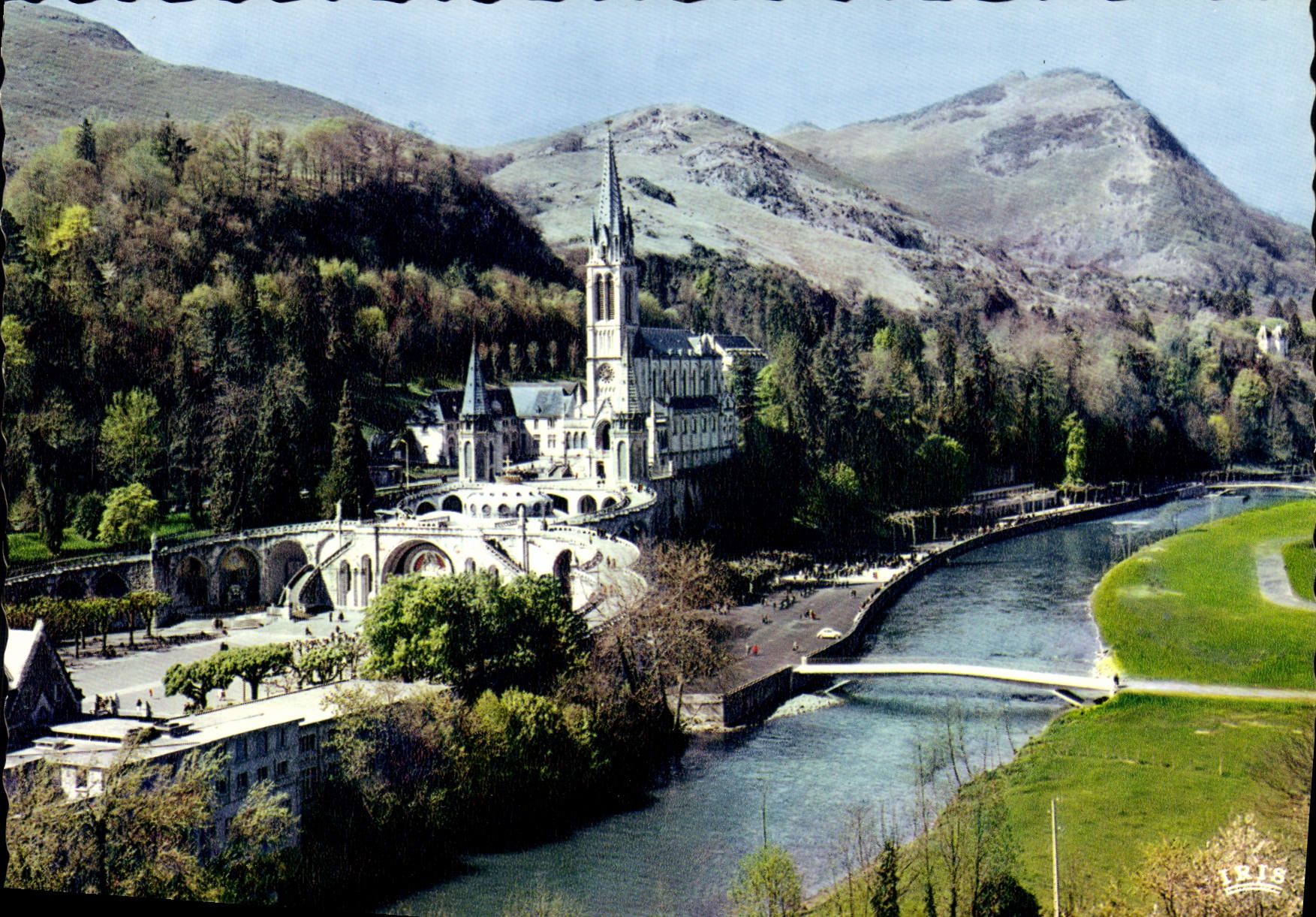 CPM Lourdes la Basilique le Gave et les nouveaux ponts 