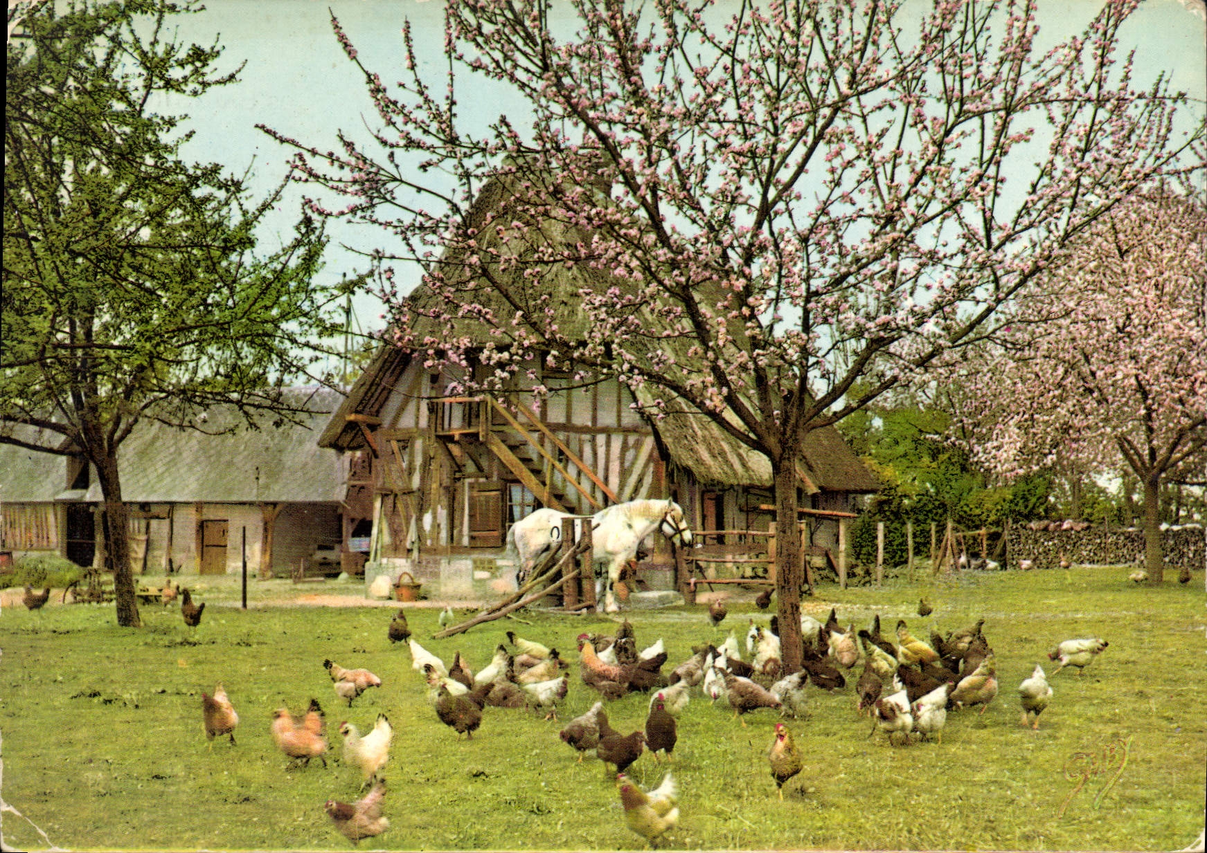 Paysage rural avec ferme à colombages — La Normandie — éditeur Artaud & Cie, Nantes