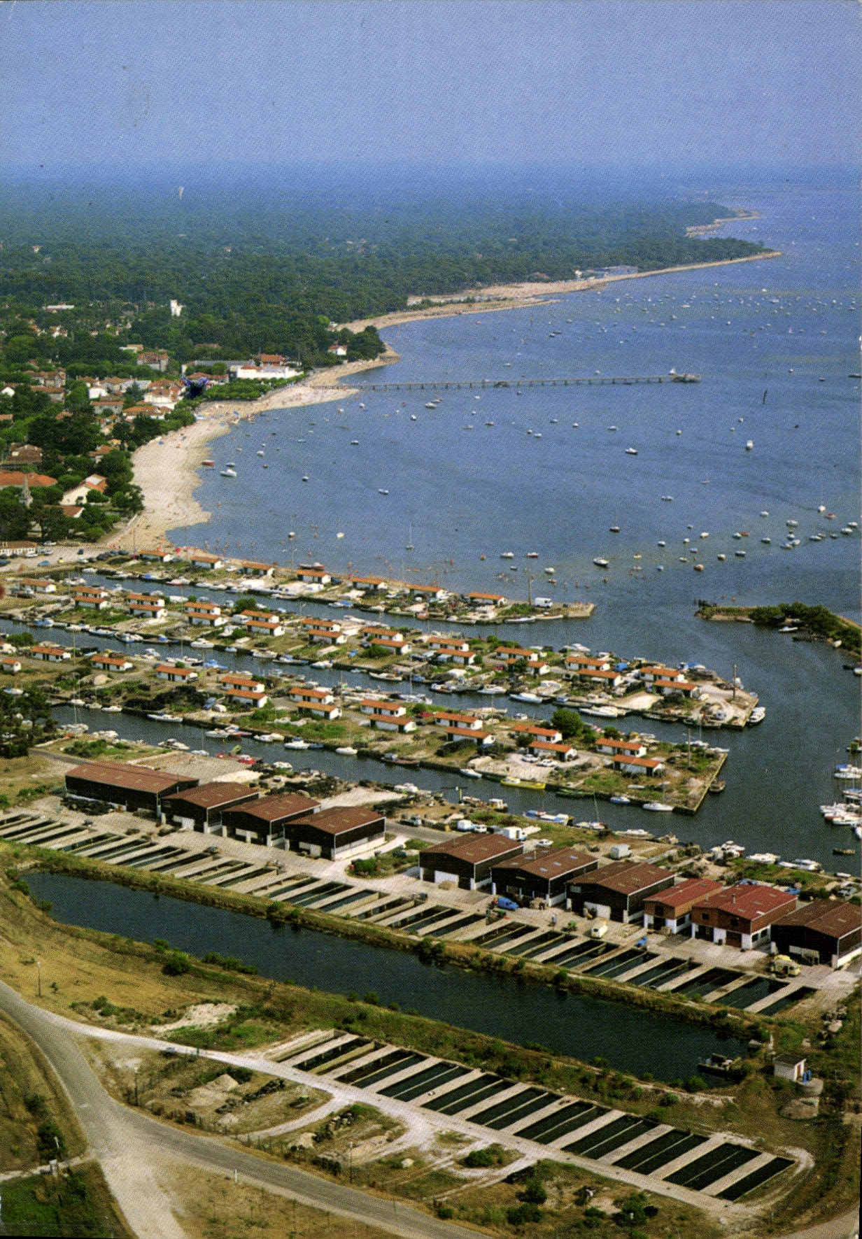 CPM la France vue du ciel Andernos les Bains Gironde le port au fond les plages 