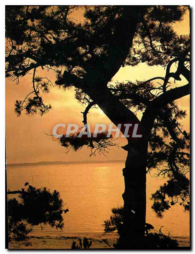 Coucher de soleil sur le bassin d'Arcachon — Côte Aquitaine — éditeur Théodat Brumes, n°15