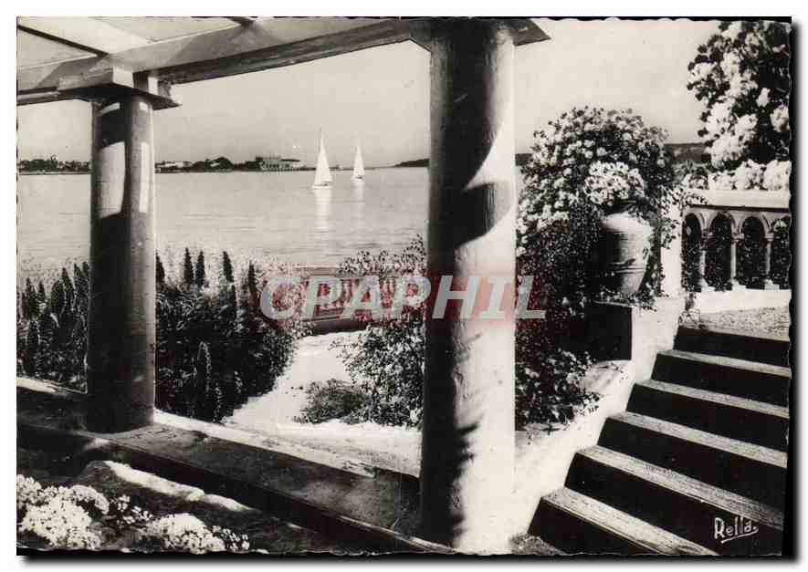 CPA la Cote d'Azur Cannes Jardins fleuris et le Palm Beach 