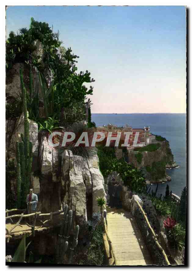 CPA Jardin exotique de Monaco un coin pittoresque du Jardin Au loin le Rocher de Monaco 